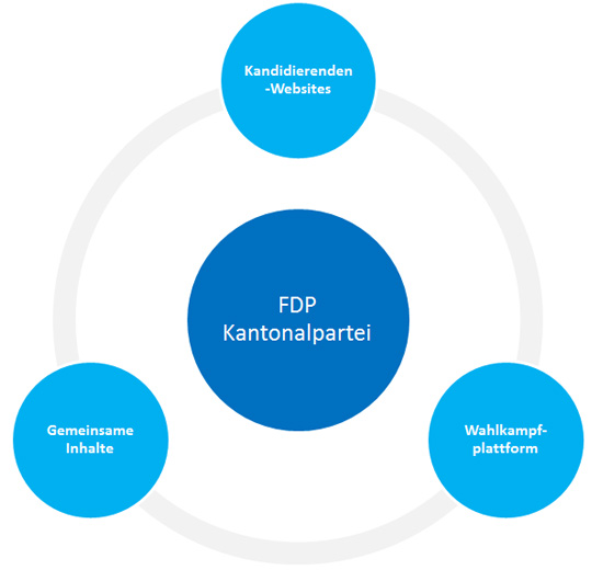 Wahlkampfplattform Schema